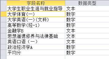 Access使用控件向导已经开启的情况下出现:向